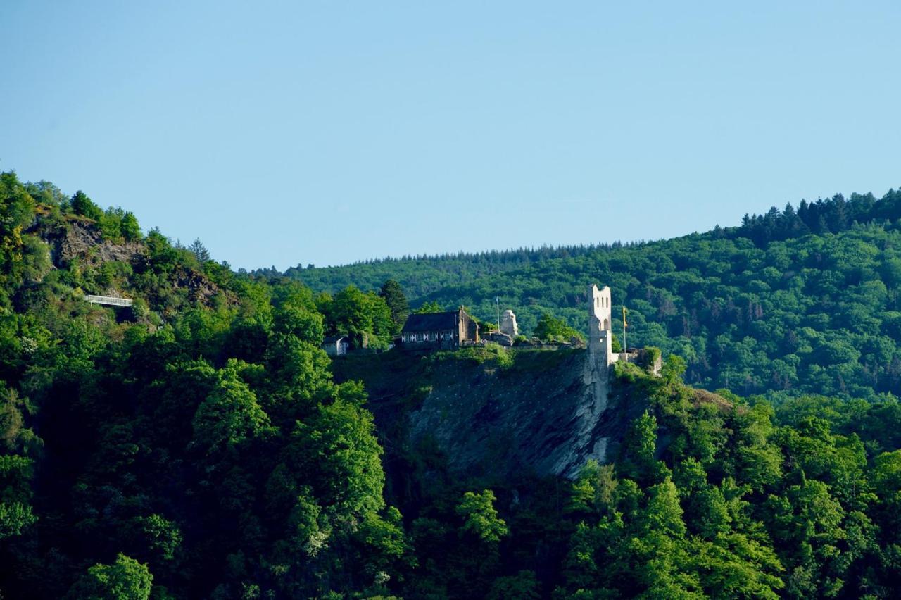 Neu - Premium-Ferienhaus Mosel-Sonne Traben-Trarbach Exteriér fotografie