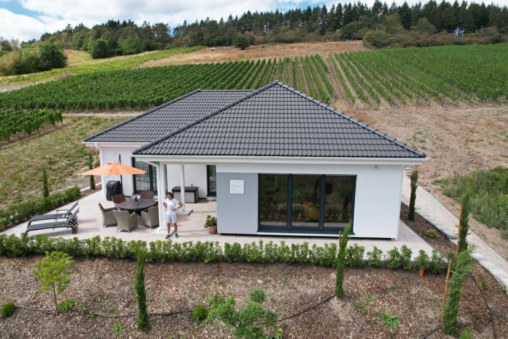 Neu - Premium-Ferienhaus Mosel-Sonne Traben-Trarbach Exteriér fotografie