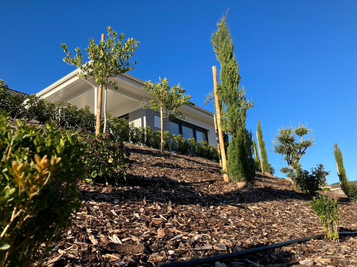 Neu - Premium-Ferienhaus Mosel-Sonne Traben-Trarbach Exteriér fotografie